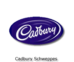 Cadburys Conformance Organisation Structure system